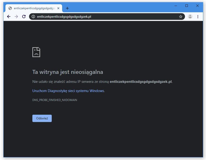 dns propagacja błąd strony