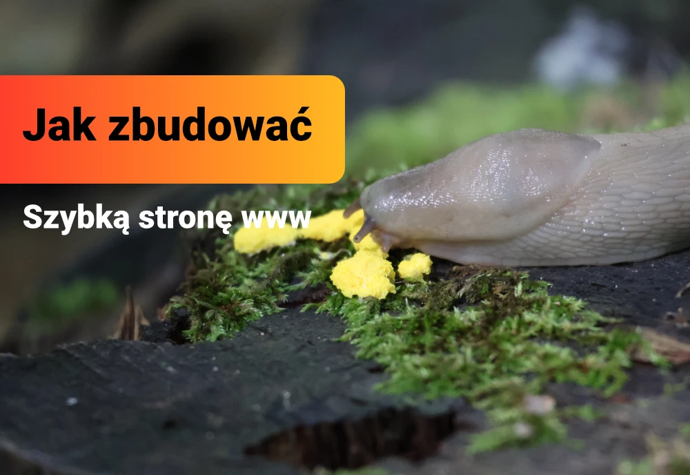 Jak Zbudować Szybką Stronę Internetową 1 Jak Zbudować Szybką Stronę Internetową