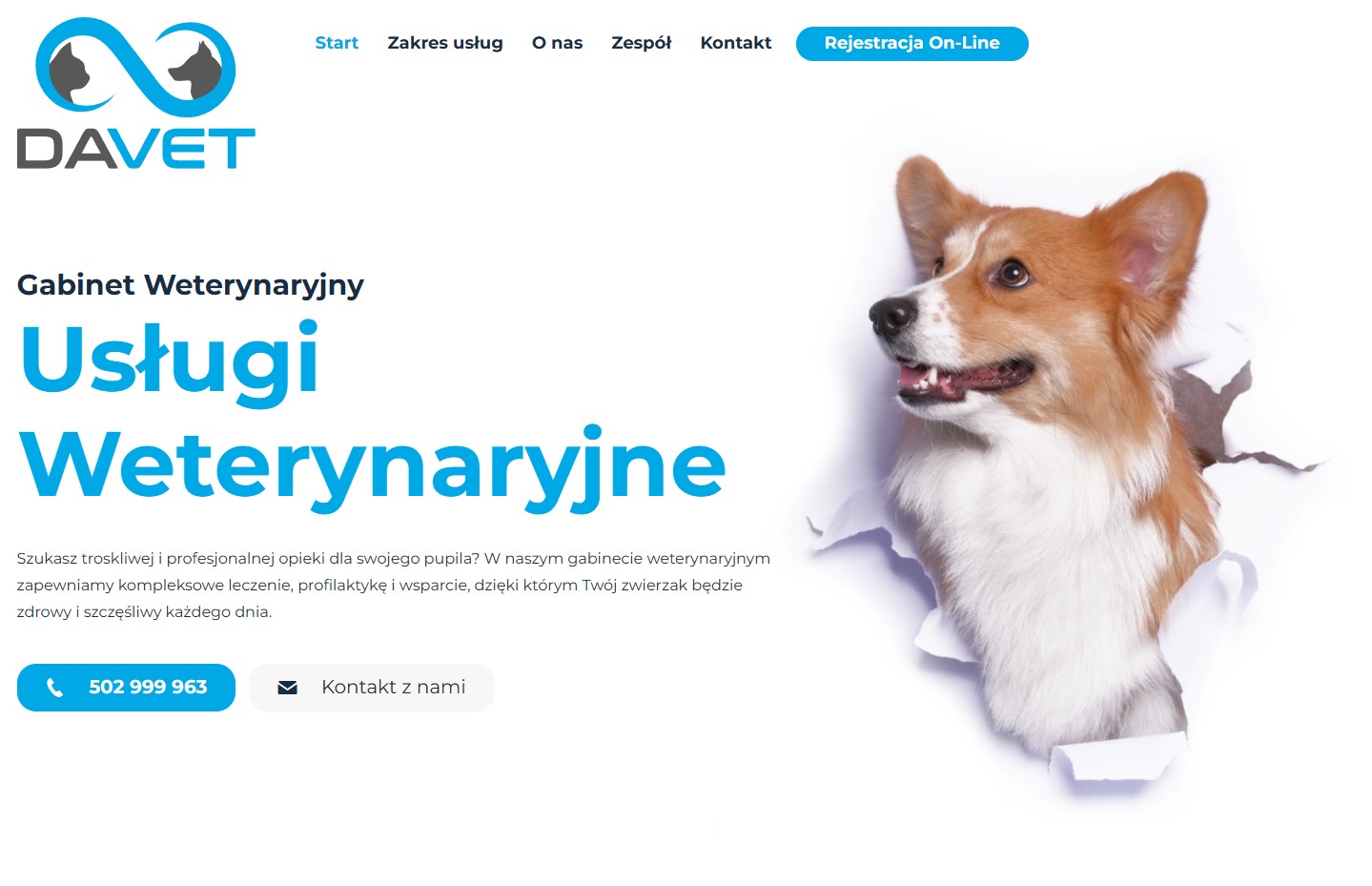 strona internetowa dla branzy weterynaryjnej